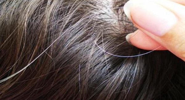 Почему возникают седые волосы