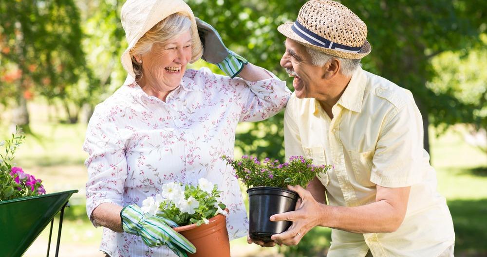 заняться садоводством на пенсии