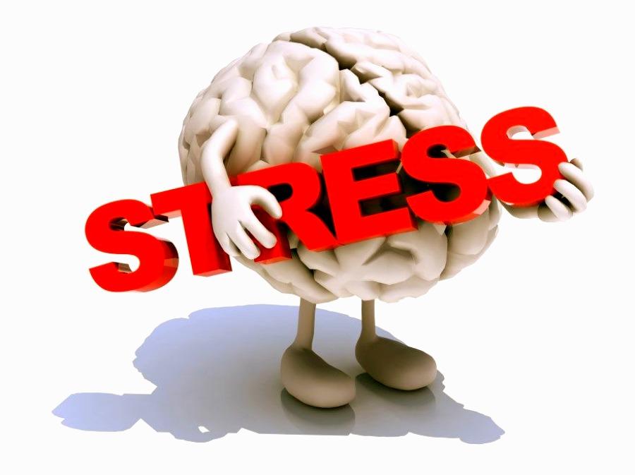 как стресс влияет на мозг
